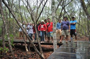Treking Mangrove Ceritanya